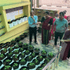 දෙහිවල ගෙවතු වගා දිසාපතිතුමාගේ නිරීක්ෂණයට