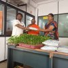 happy green ව්‍යාපෘතිය යටතේ එලවළු පැළ සහ පොහොර බෙදාදීම