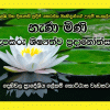 ”නැණ මිණි” කැපකරු ශිෂ්‍යත්ව ප්‍රදාන වැඩසටහන- දෙහිවල