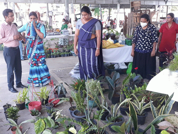 දිරිය මිනිසුන් උදෙසා  SED MINI FAIR-dehiwala අලෙවි ප්‍රදර්ශනය 
