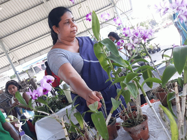 දිරිය මිනිසුන් උදෙසා  SED MINI FAIR-dehiwala අලෙවි ප්‍රදර්ශනය 