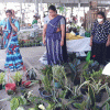 දිරිය මිනිසුන් උදෙසා  SED MINI FAIR-dehiwala අලෙවි ප්‍රදර්ශනය 